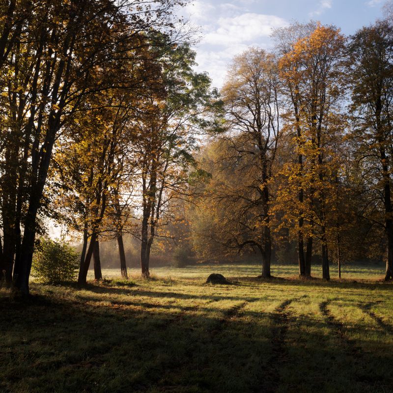 Восеньскія матывы ў родным краі Янкі Купалы  фото превью