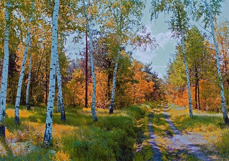 фото превью