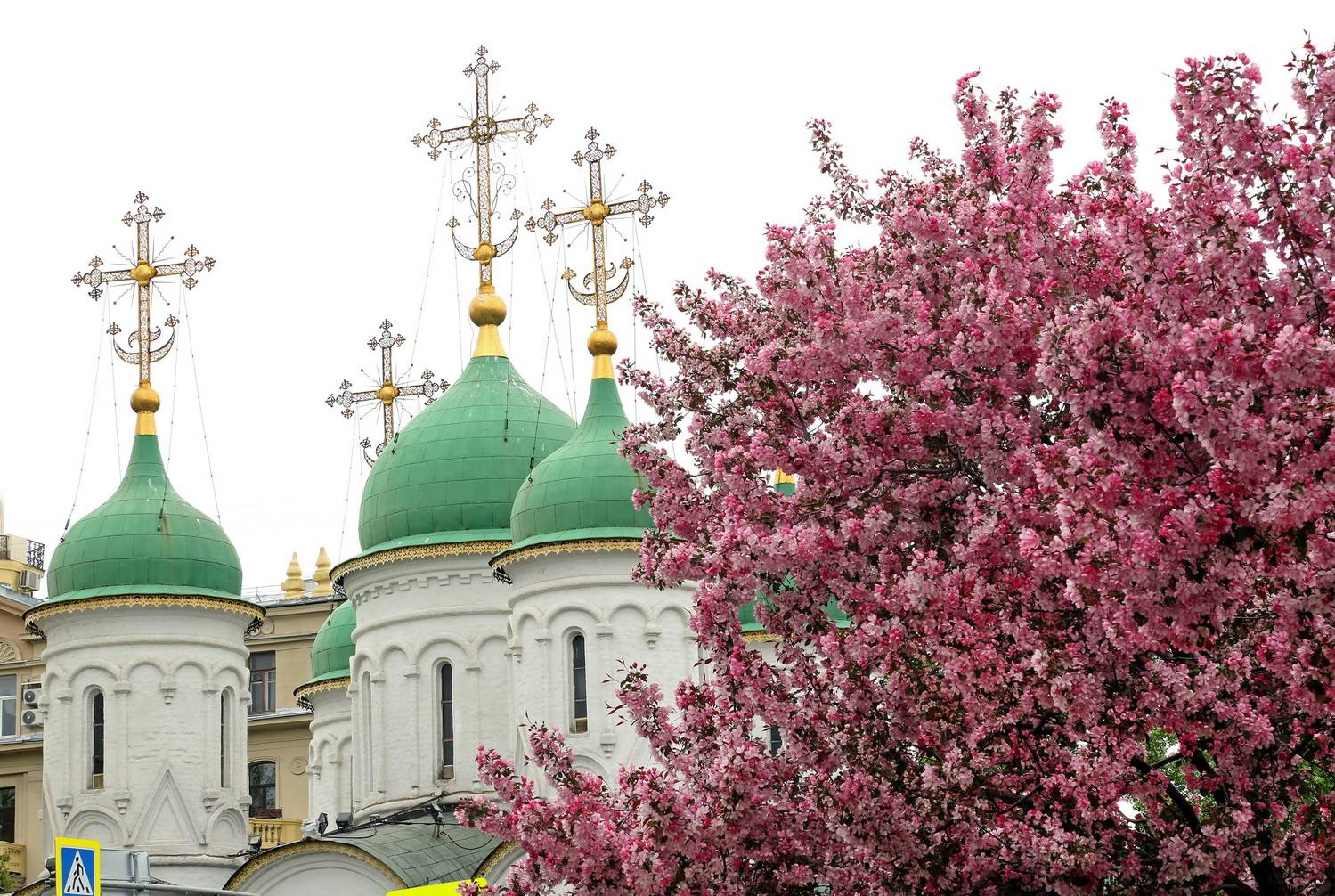 , Бибичков Михаил