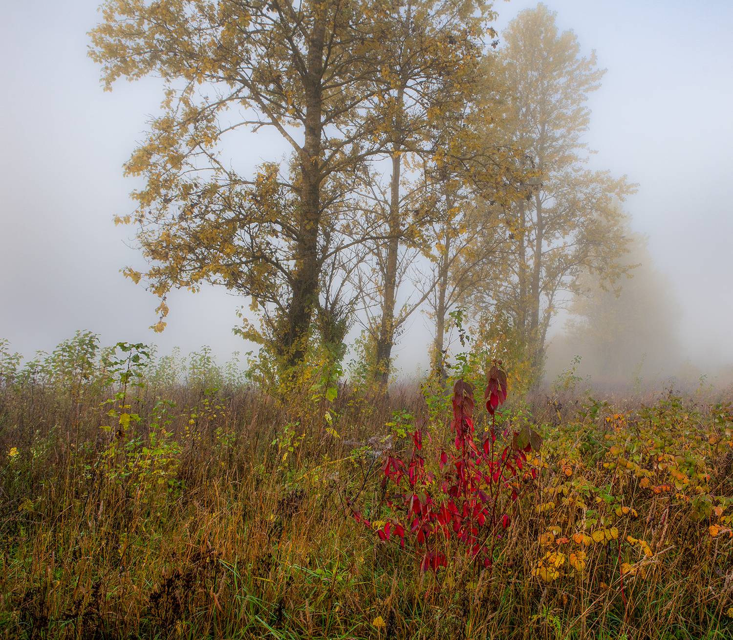, Aleksandr Mihailov