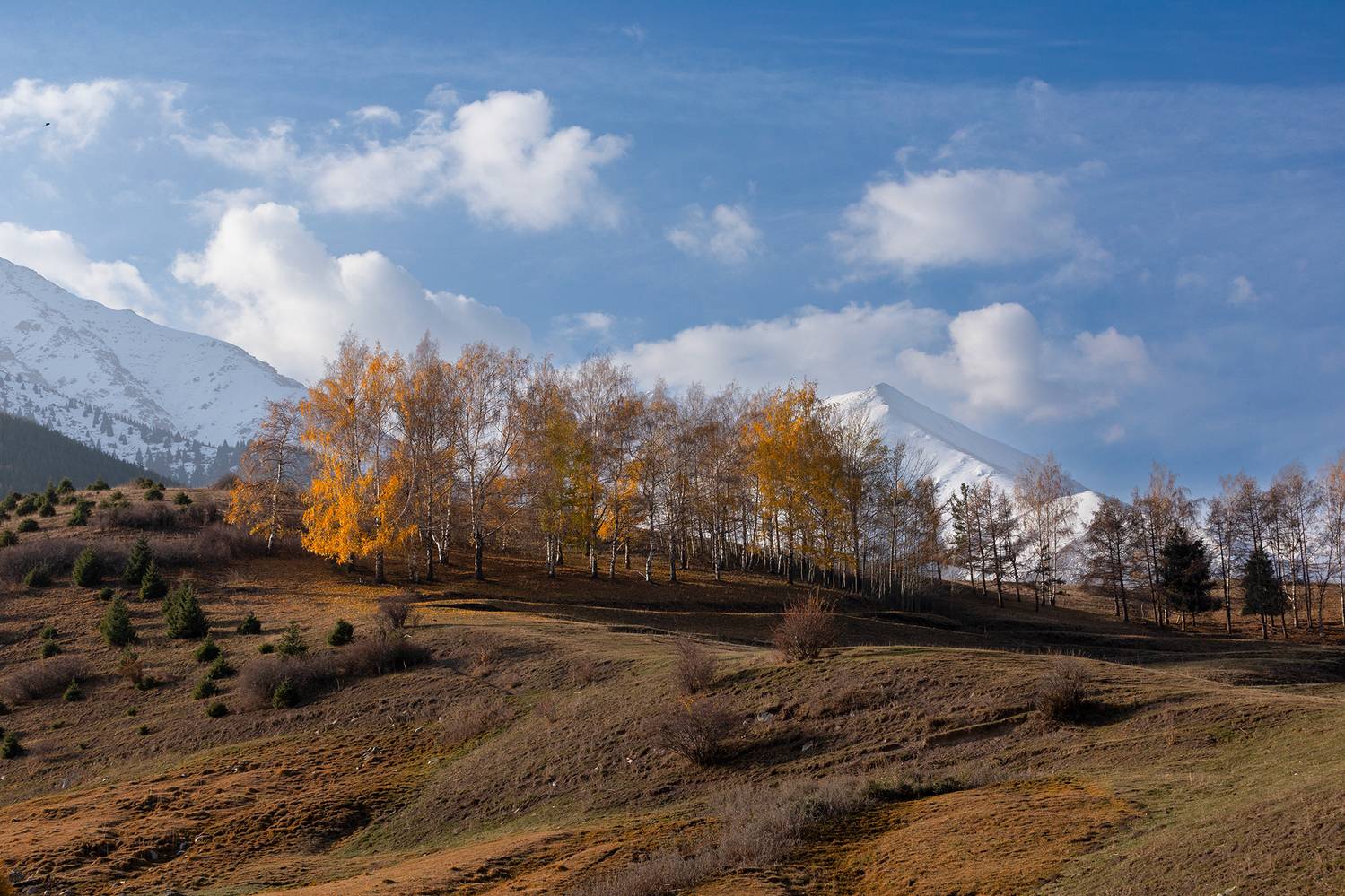 кыргызстан, урочище чункурчак, Элина Магалимова