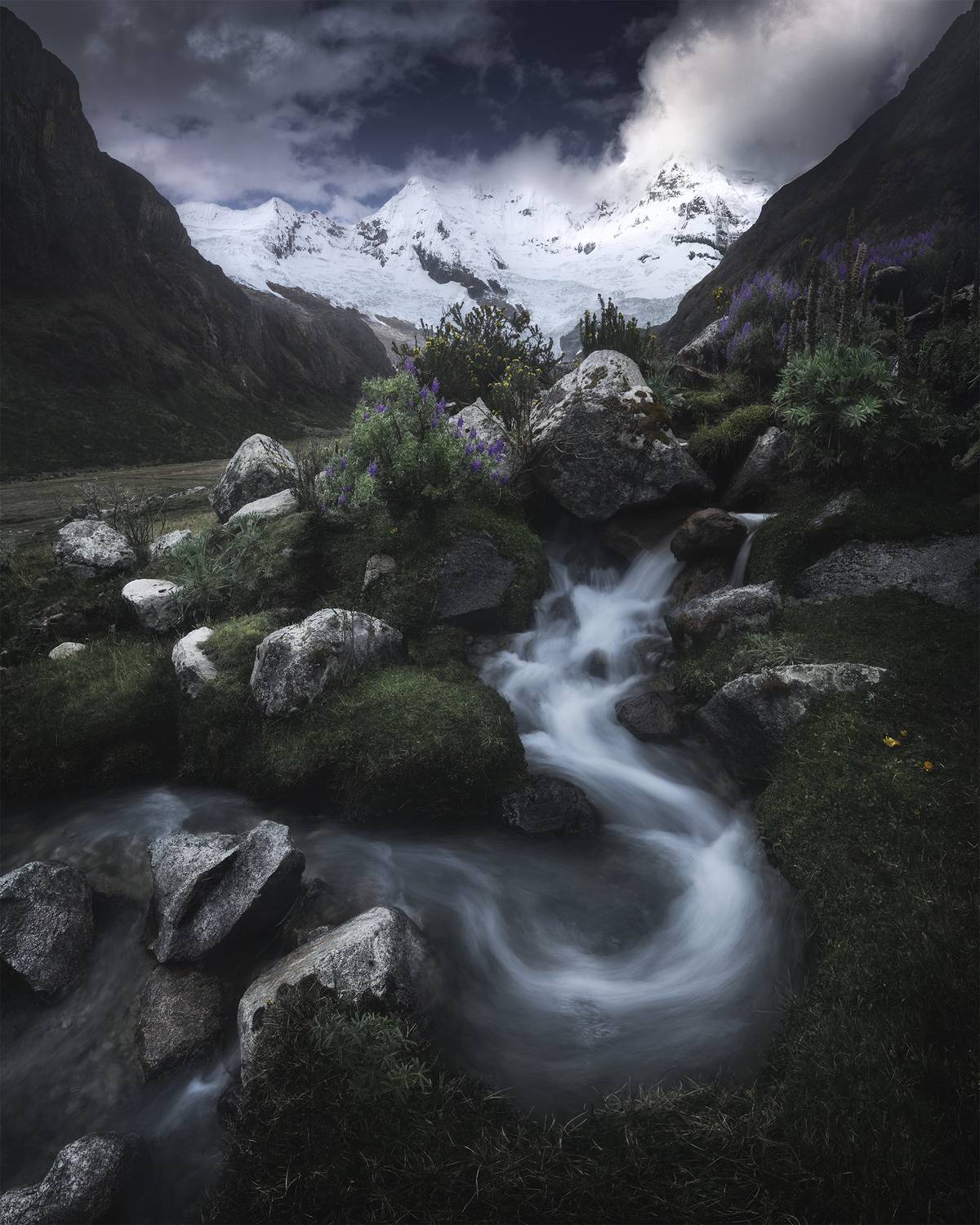 , Политова Анна