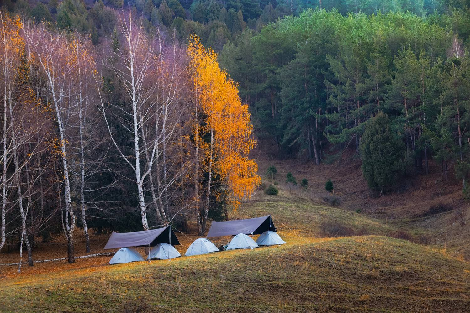 кыргызстан, урочище чункурчак, Элина Магалимова