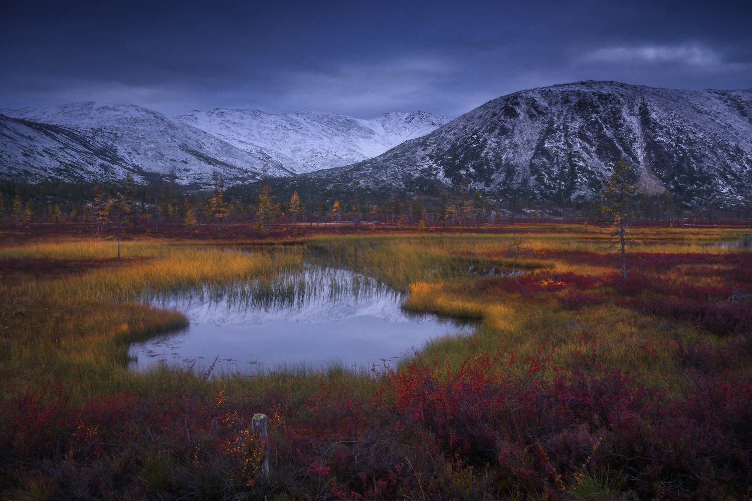 колыма, пурга, Владимир Ляпин