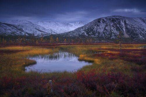 Краски Колымы