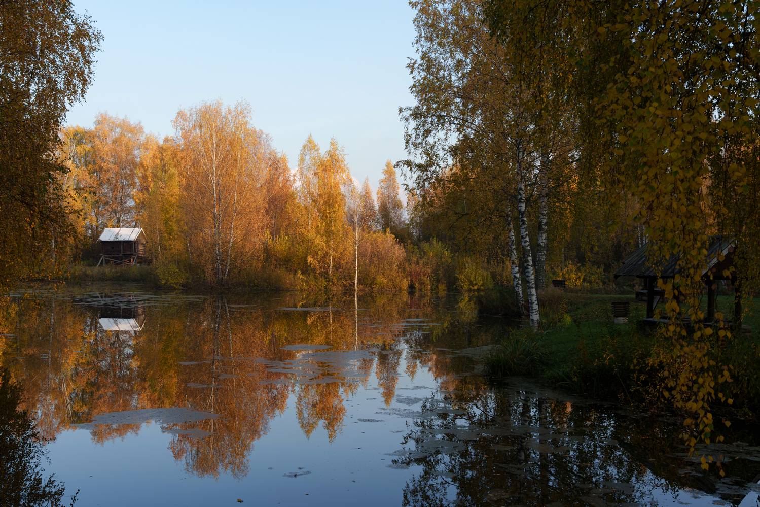 , Добродий Михаил