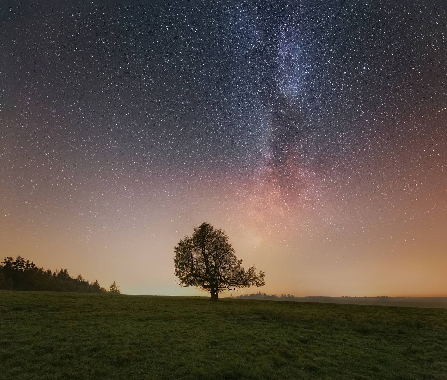 landscape, night, stars, solitair, tree, Petr Fiala