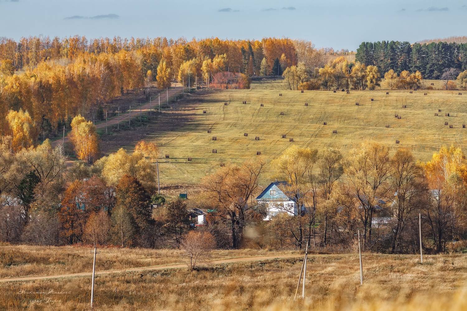 , Никитин Алексей