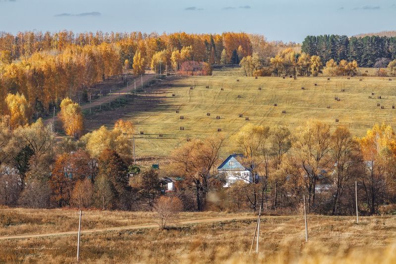 За деревней бродит осень фото превью