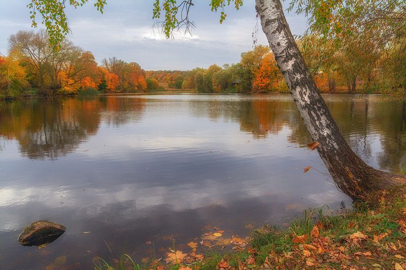 Осень, осень... фото превью
