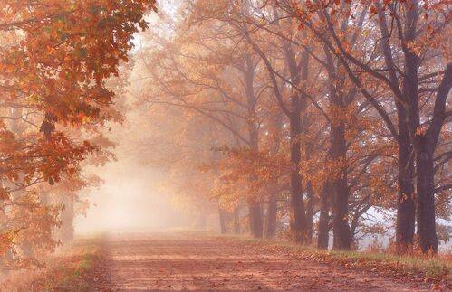 Дорога в Золотую Осень