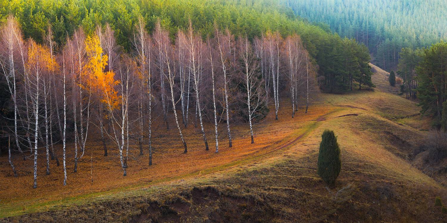 кыргызстан, урочище чункурчак, Элина Магалимова
