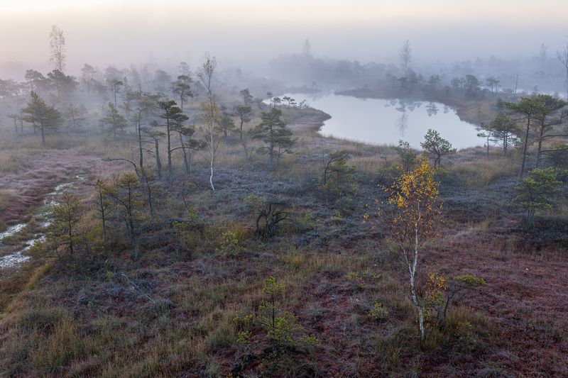 Туманное утро фото превью
