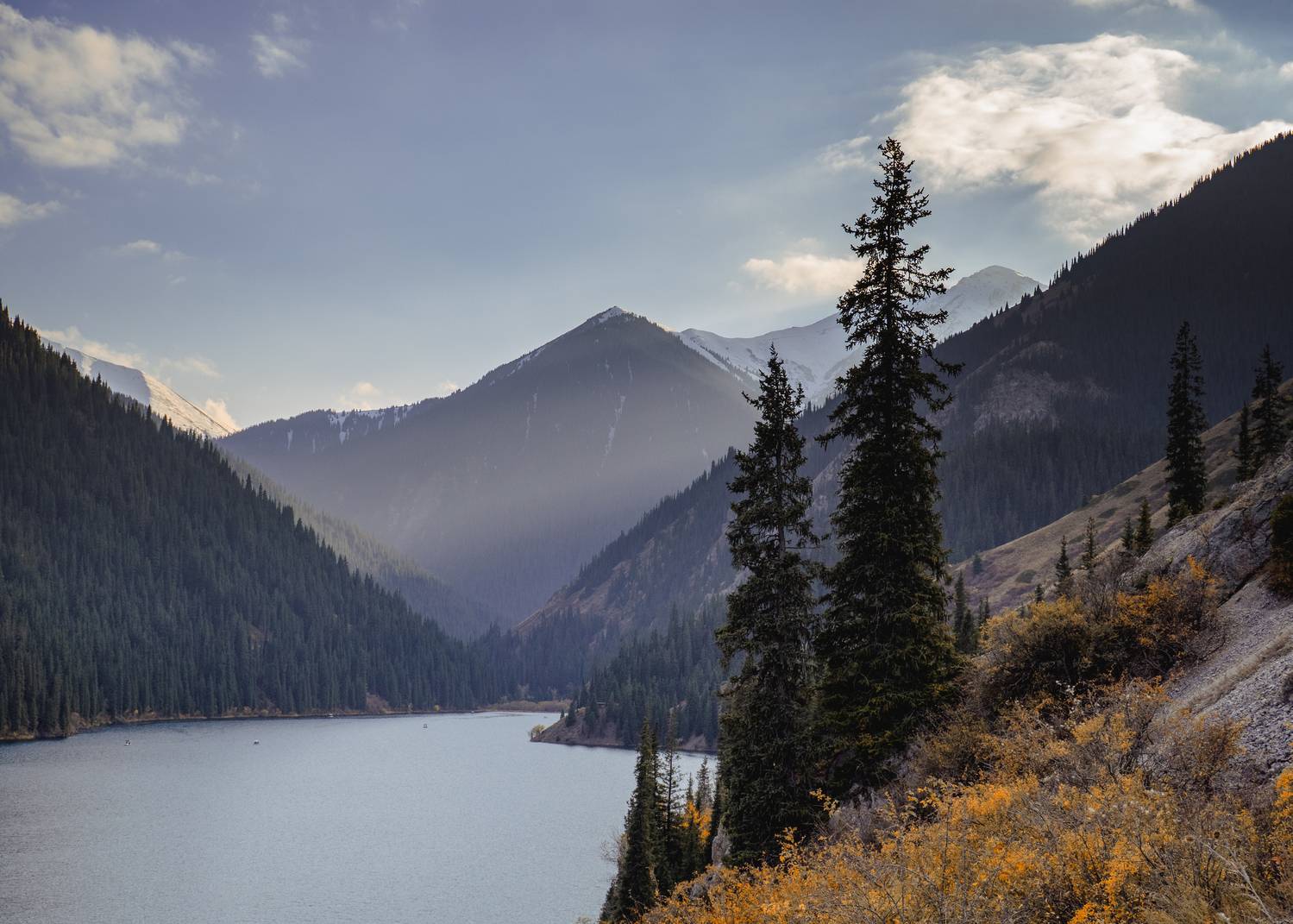 , Андрей Хаймин