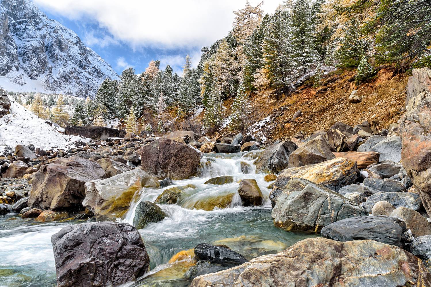 алтай, актру, Григорашев Денис