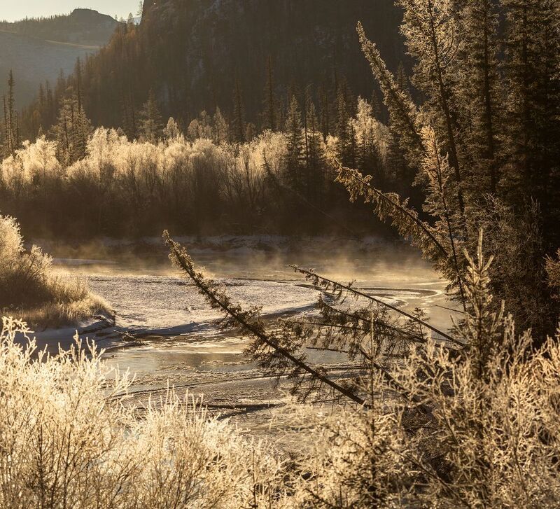 алтай, природа, осень, чуя, мороз Утро на Чуе фото превью