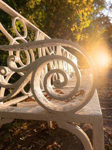 Осень в Пушкине