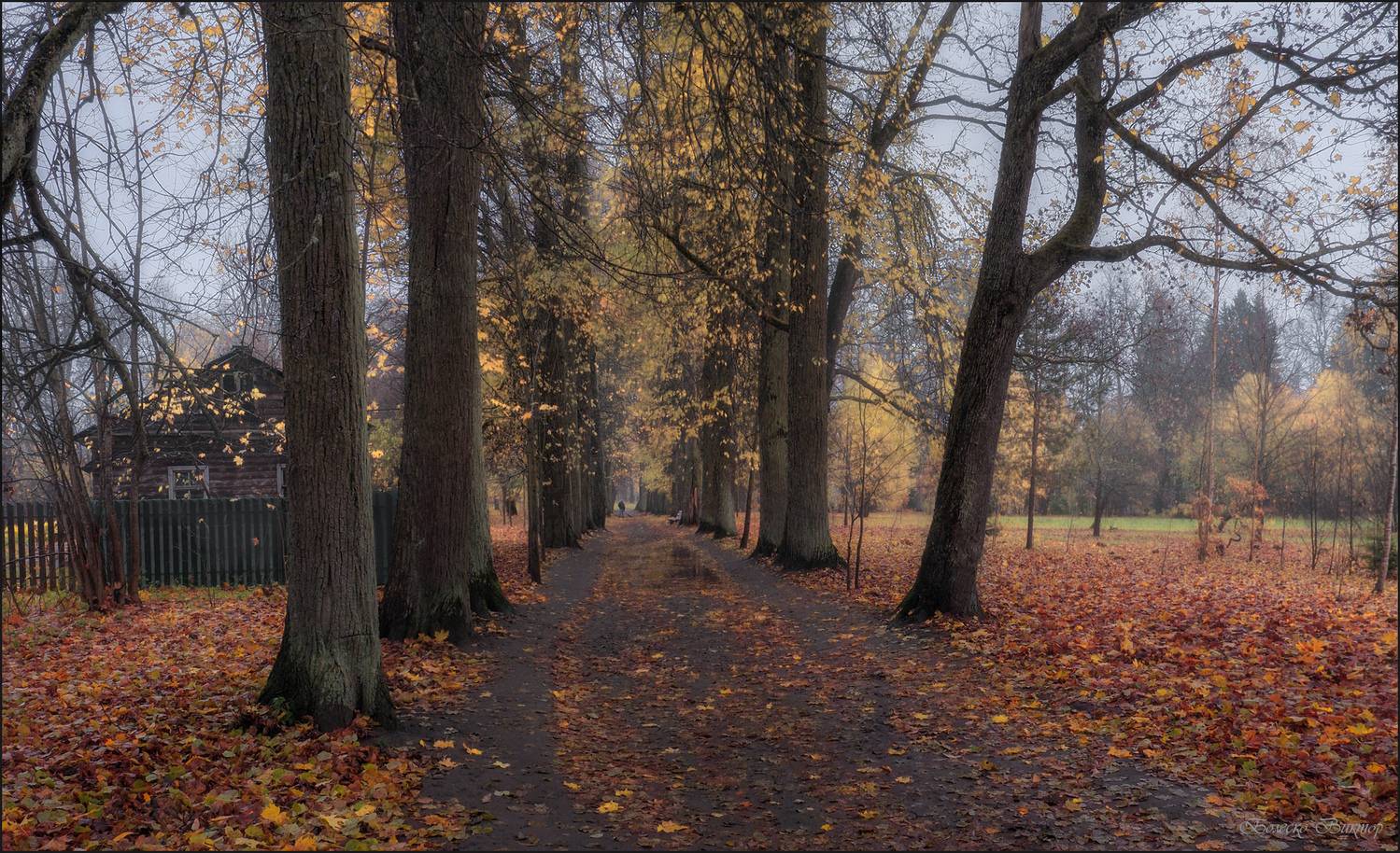 , Болеско Виктор