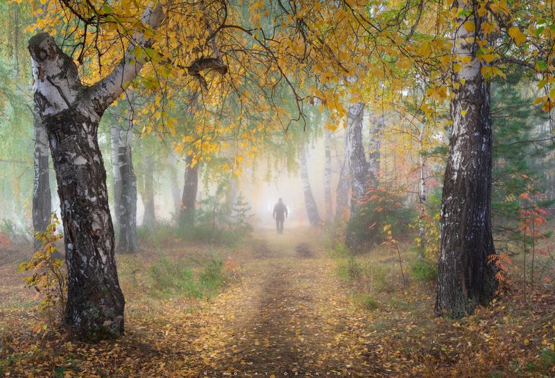 Осеннее утро фото превью