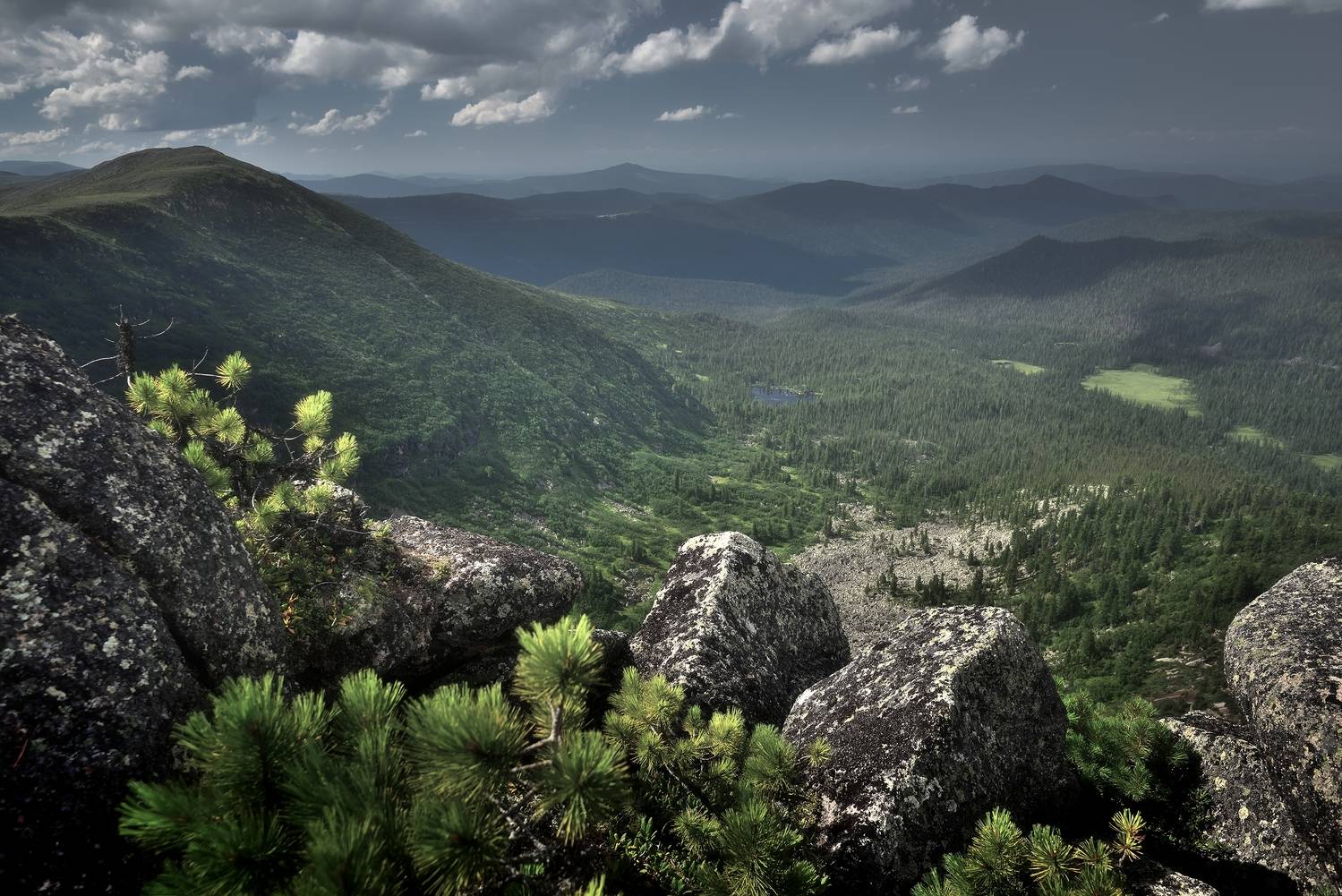 , Алексей Никонов