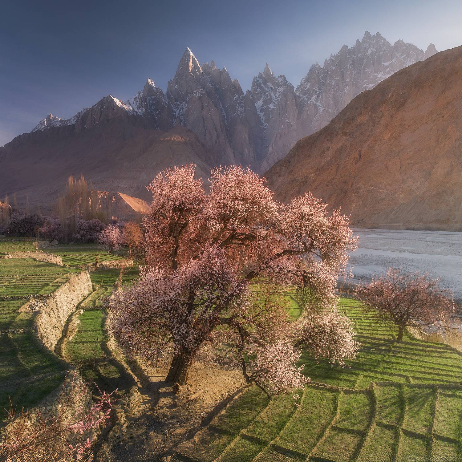 , Даниил Коржонов