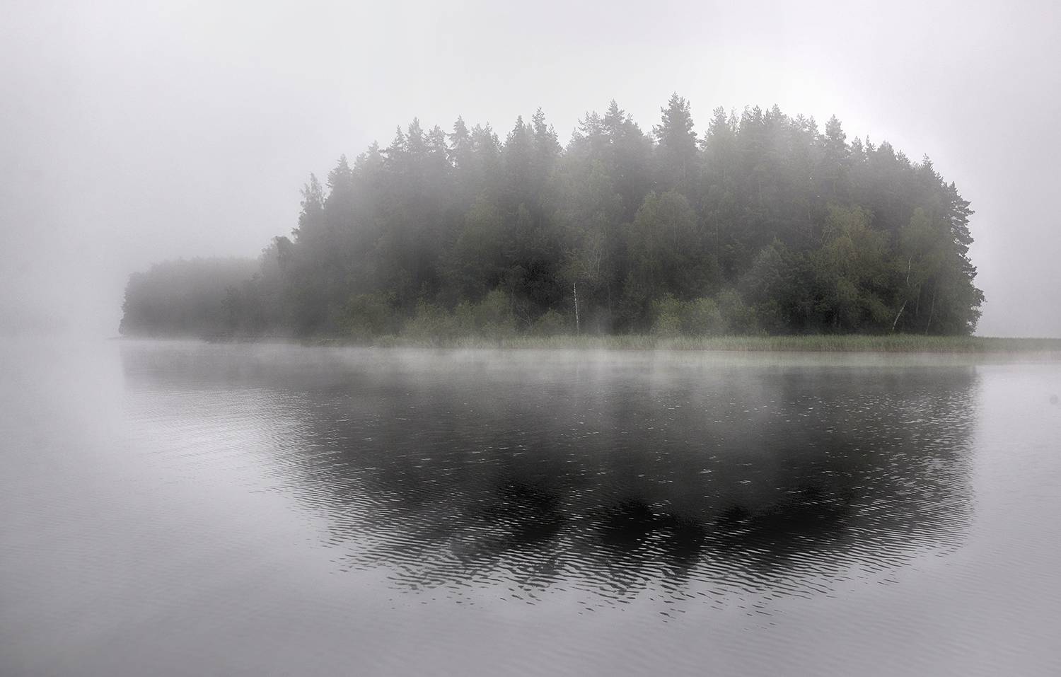 , Сергей Аникин