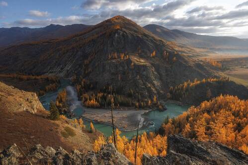 Аргут