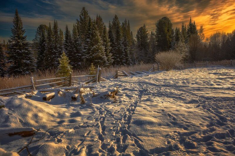 *** фото превью