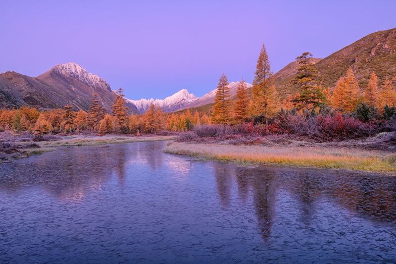 озеро джека лондона Сиреневое утро... фото превью
