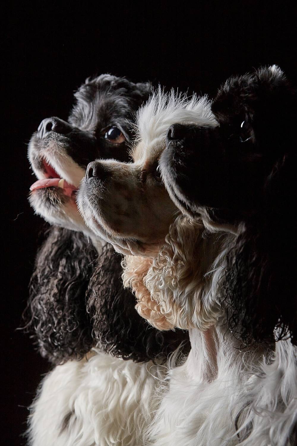 , Вадим Михейкин