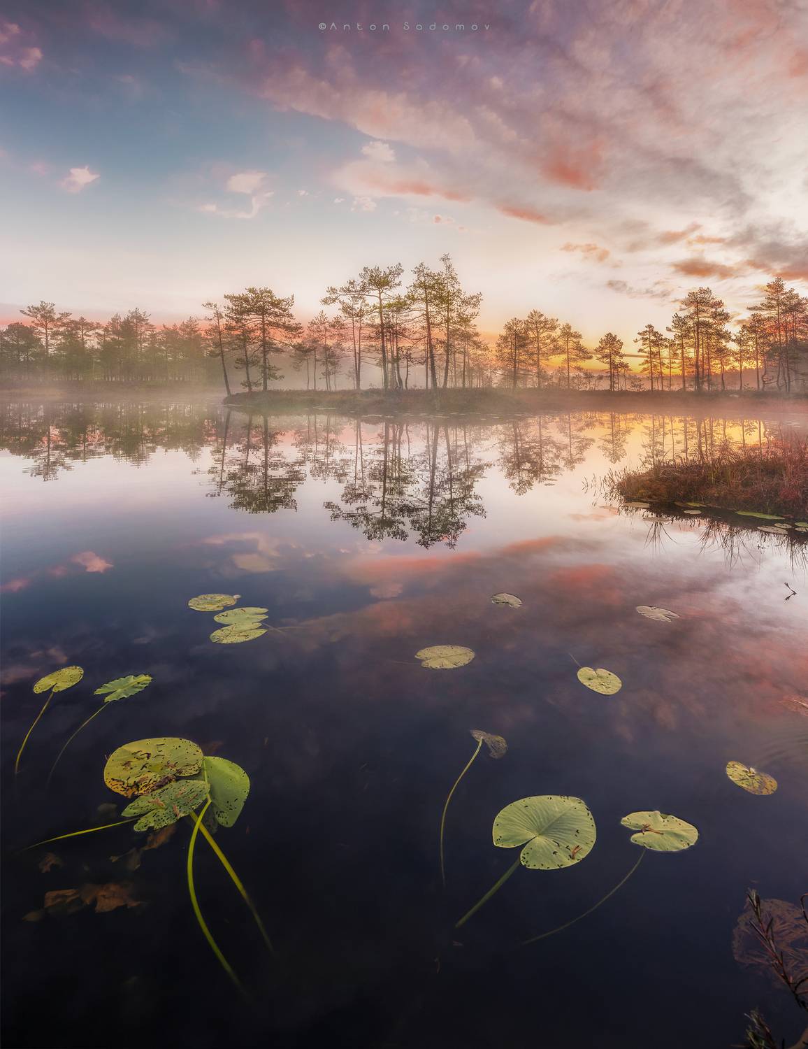 , Антон Садомов