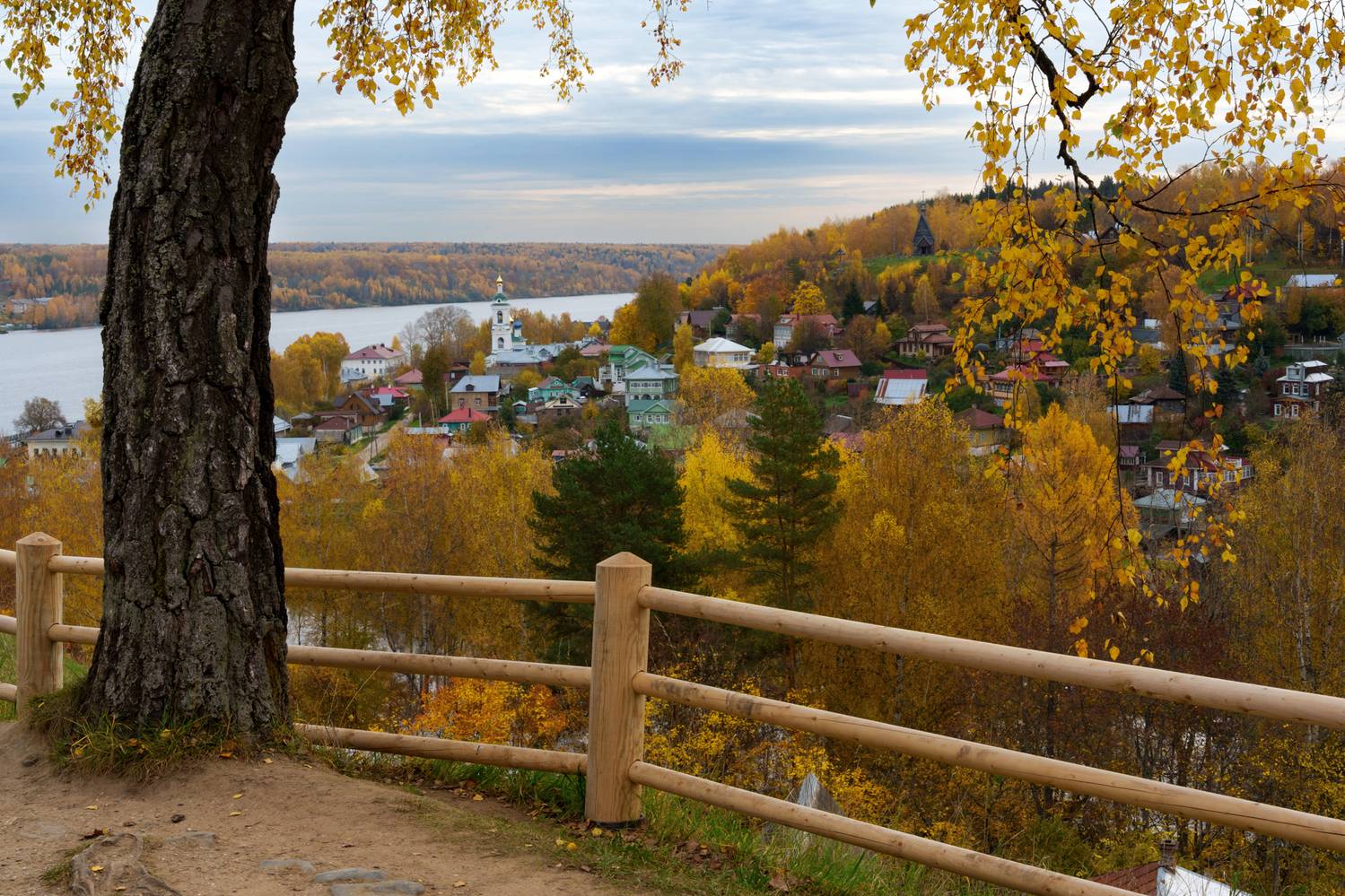 , Добродий Михаил