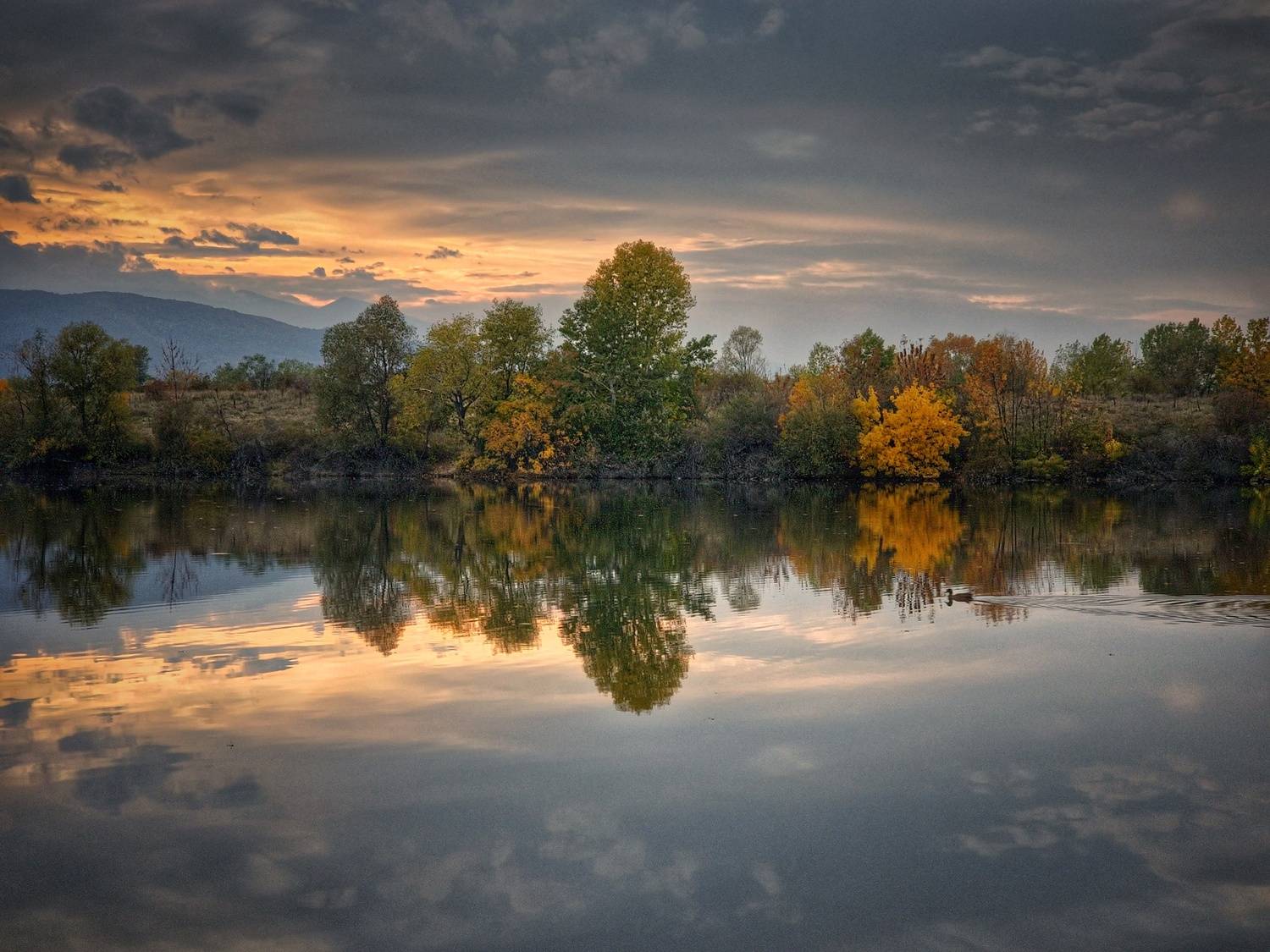 , Герчев Николай