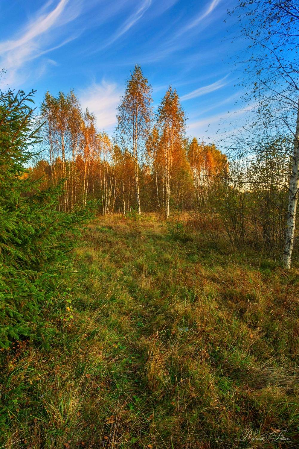 , Фотов Ренат