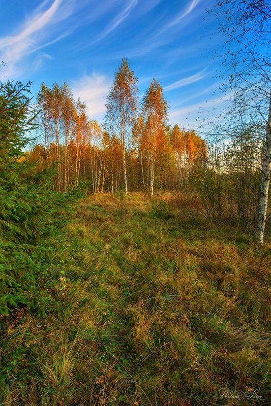 Костромской край. фото превью