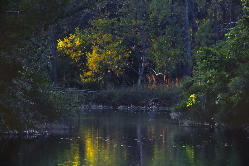 Angolo di luce фото превью