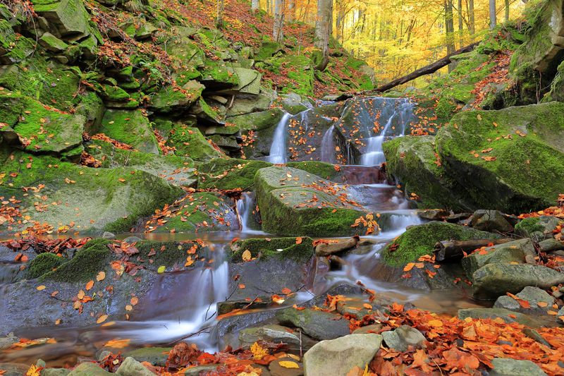 Jesień w Bieszczadach фото превью