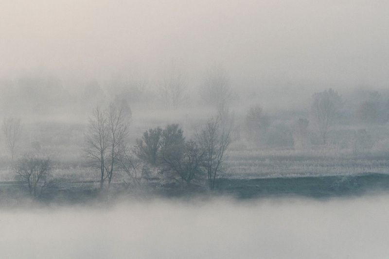 Туманное утро фото превью