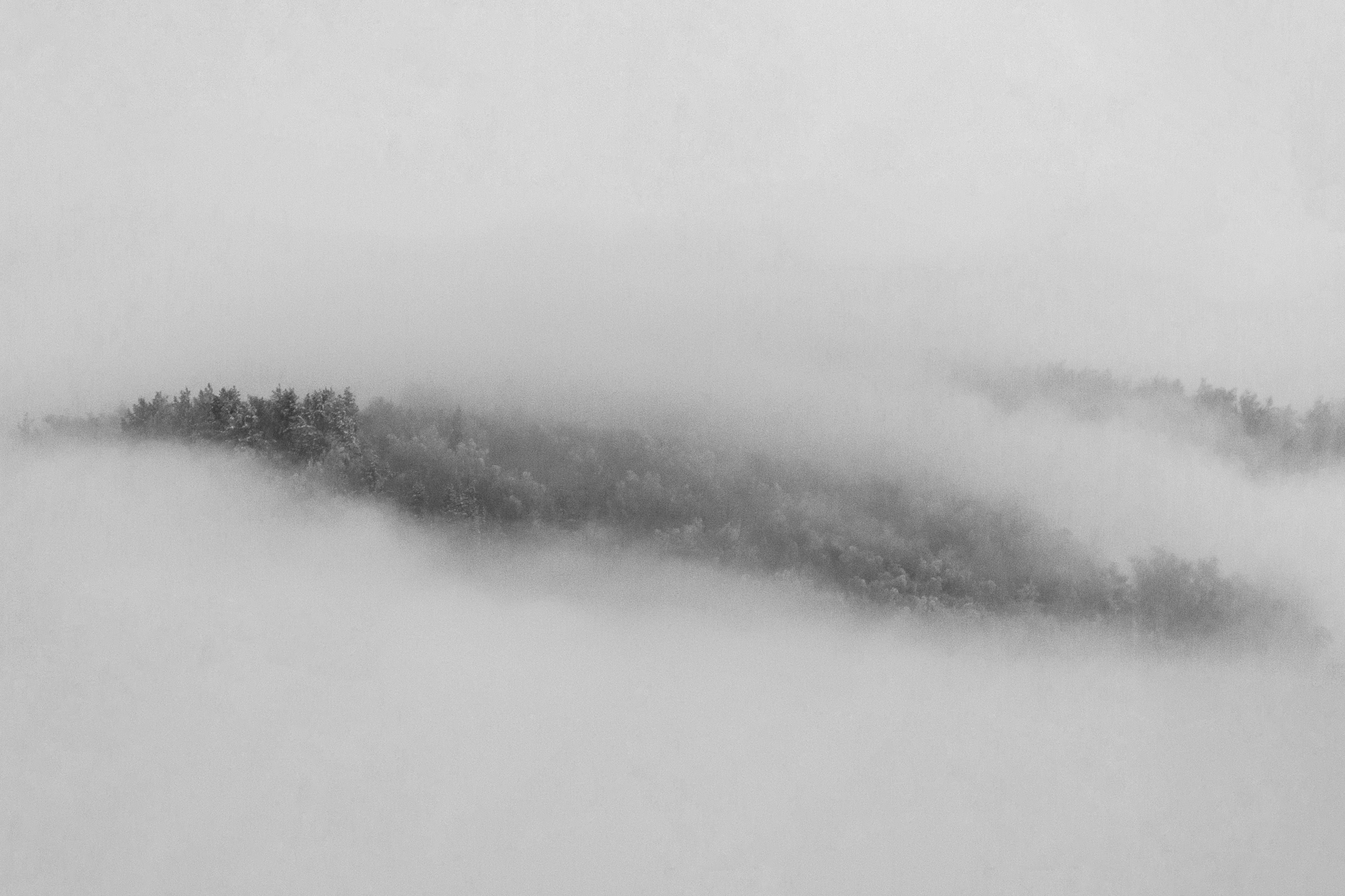 Туманы фото превью