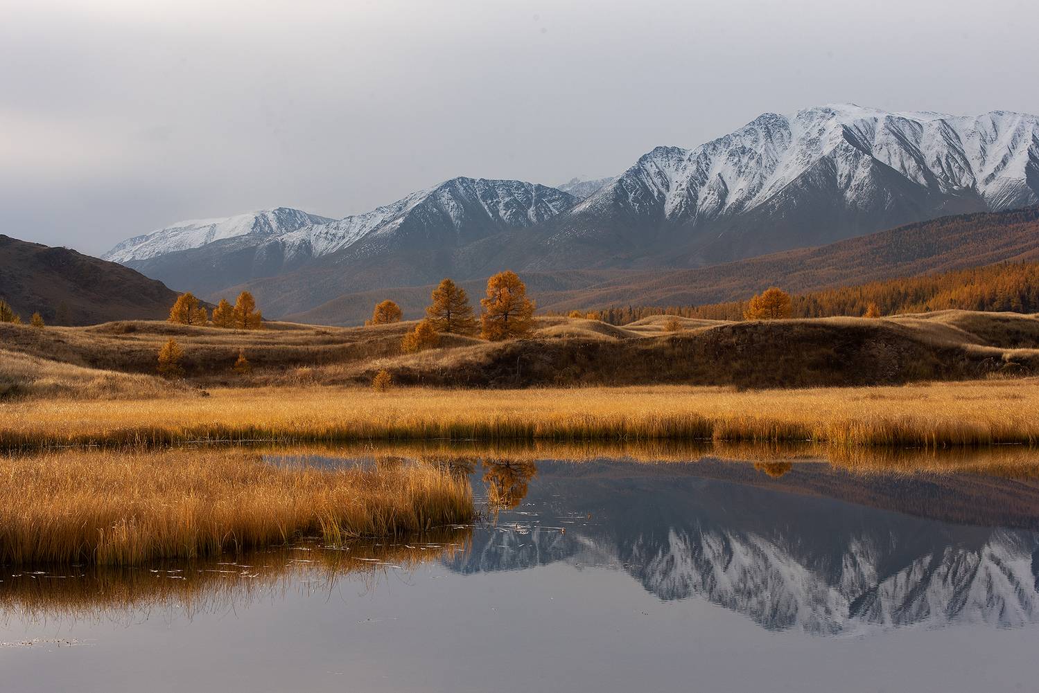 , Анастасия Петрова