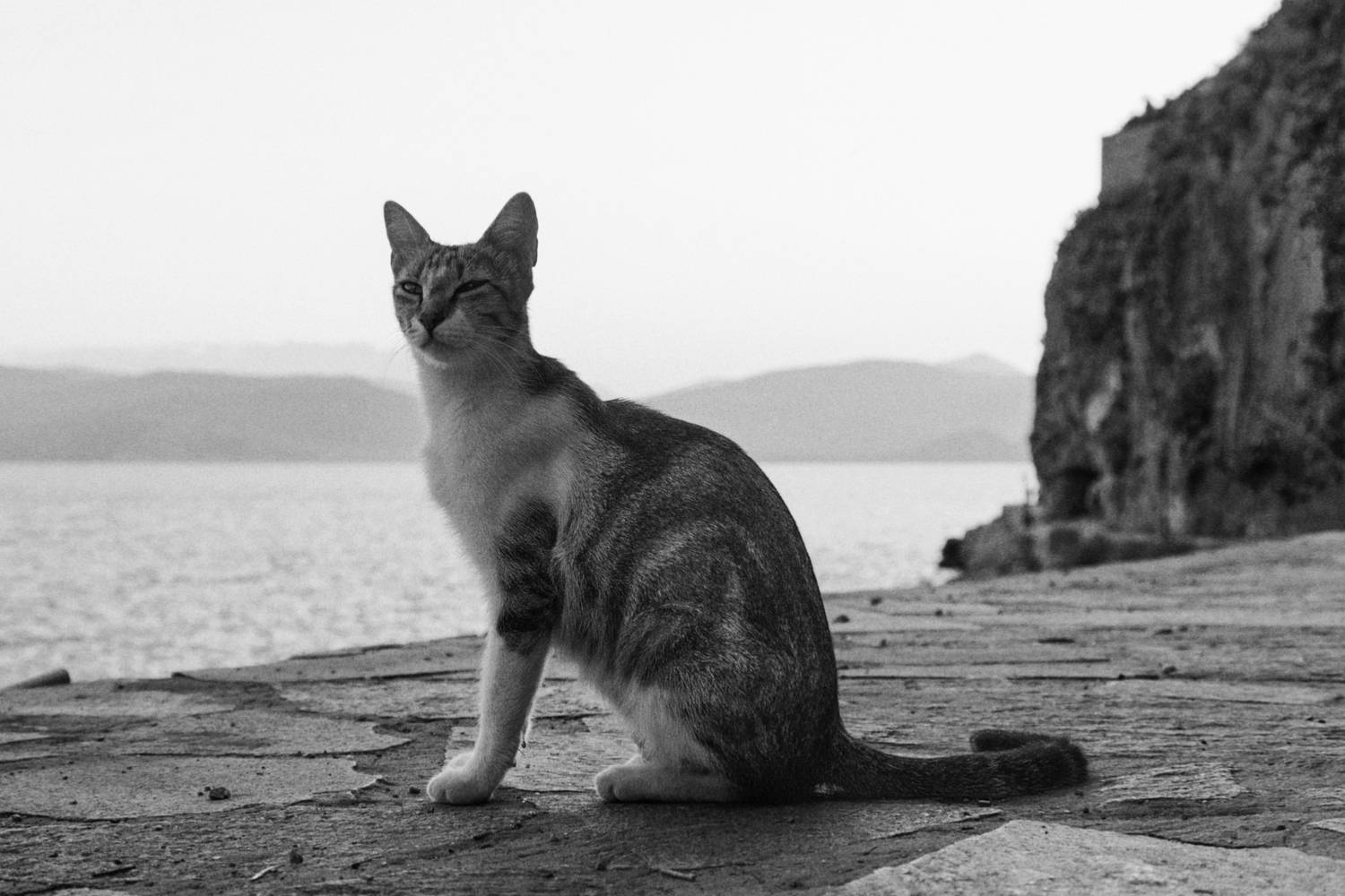 , Станислав