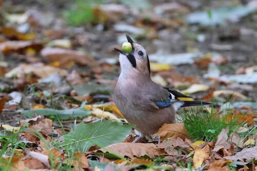 Когда кусок в горло не лезет..