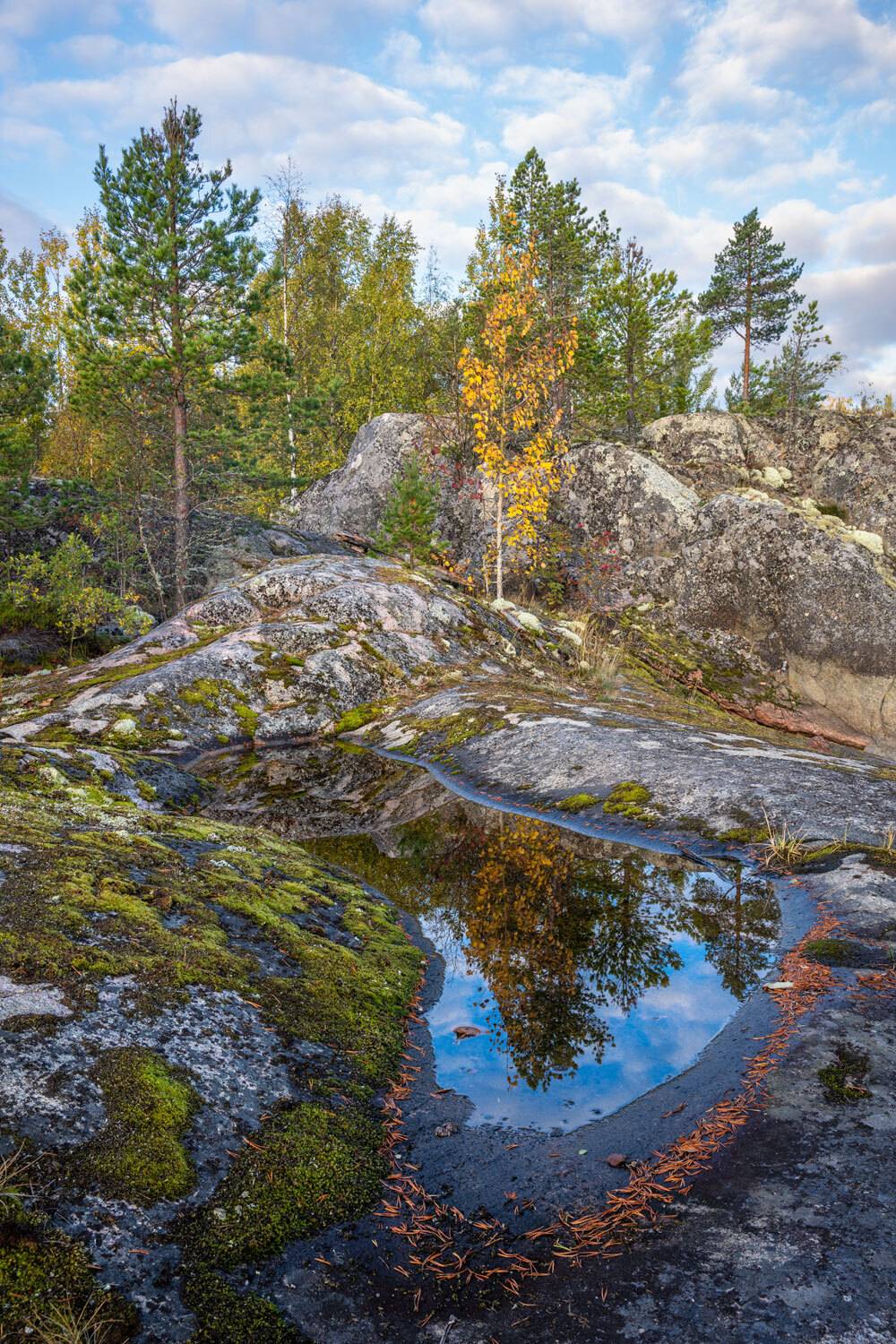 , Бушков Евгений