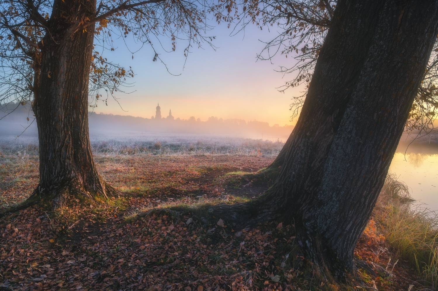 , Михаил Устюжанин