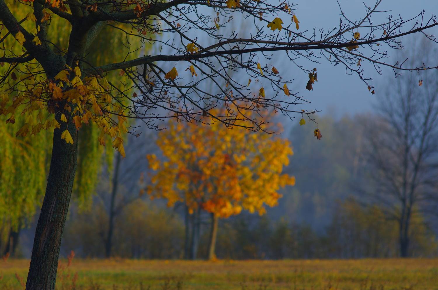 , Шляга Сергей