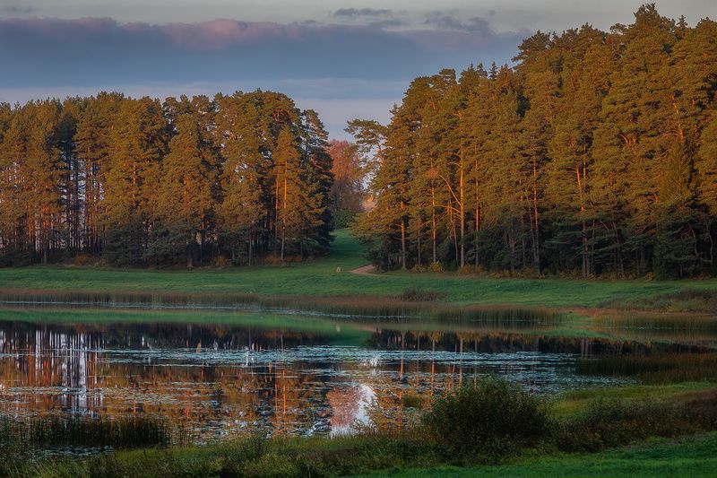 пушкинские горы, природа, пейзаж, закат, псковская область, михайловское, озеро маленец, осень, октябрь, Живописный вечер на озере Маленец. фото превью