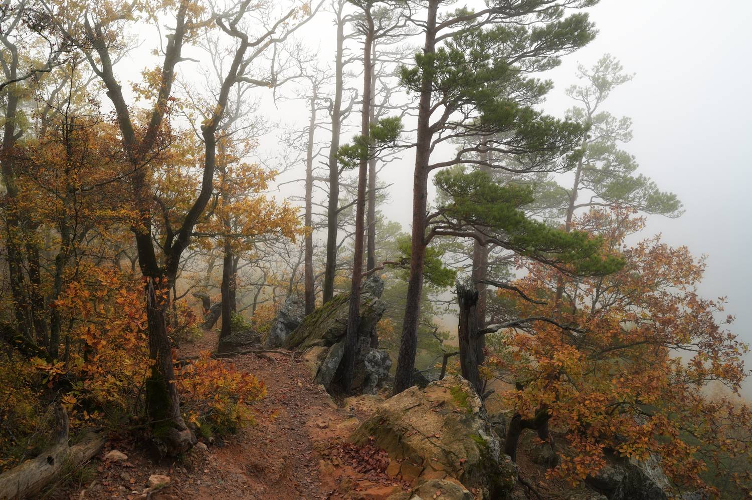 , Сергей Тихомиров