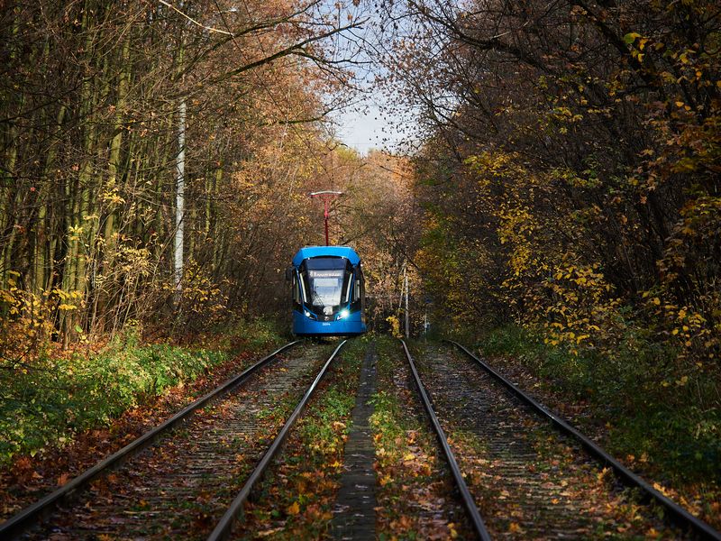 Ухватить золотую осень фото превью