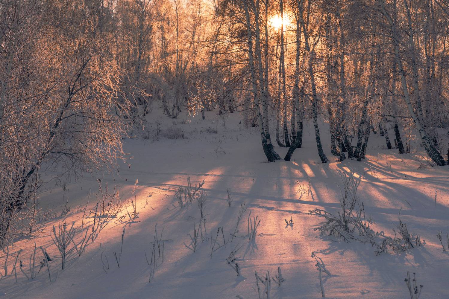 , Шустиков Дмитрий