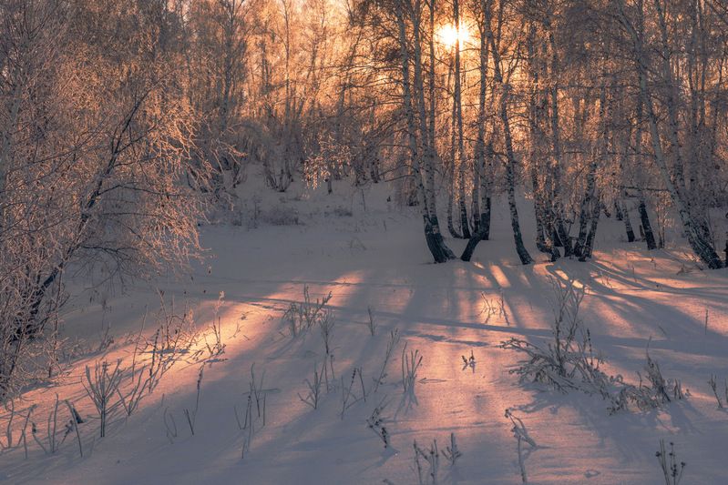 розовый вечер фото превью